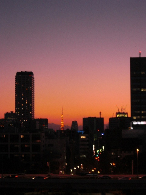 カナリアさん_東京の夜景