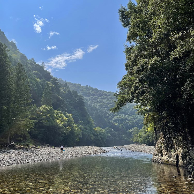 日本の美しい川と山の風景