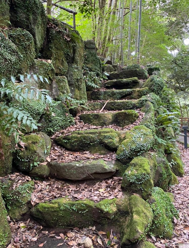 湯河原の植物と一体となった石の階段