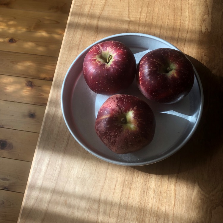 赤いりんごが3個お皿の上に乗っている