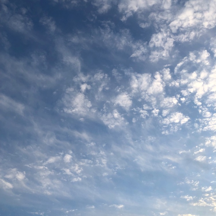 青い空に真鱈模様の白い雲が散らばっている