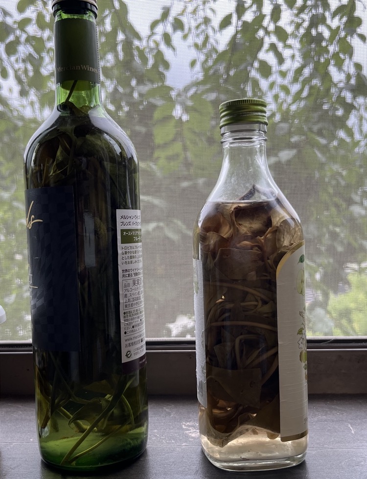 琵琶の葉のエキスが入った瓶とドクダミの葉から採れたエキスが入った瓶が並んでいる
