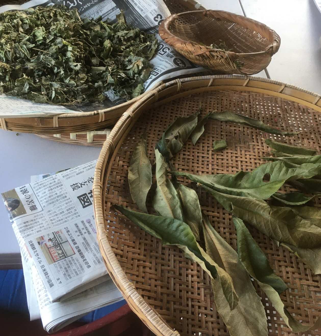 乾燥した葉