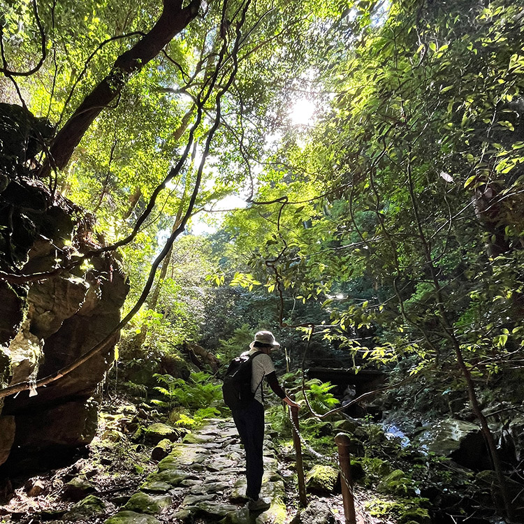 タカハシミチヨさん 若草山 登山