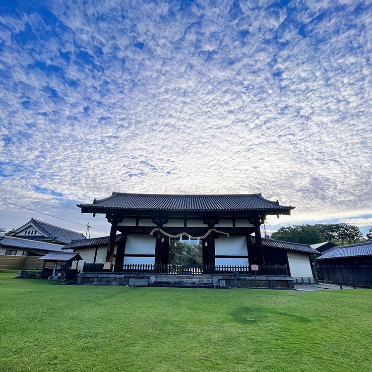 タカハシミチヨさん 東大寺転害門