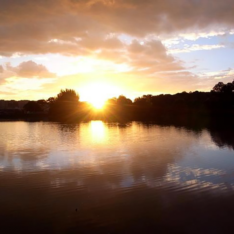 タカハシミチヨさん 平城京