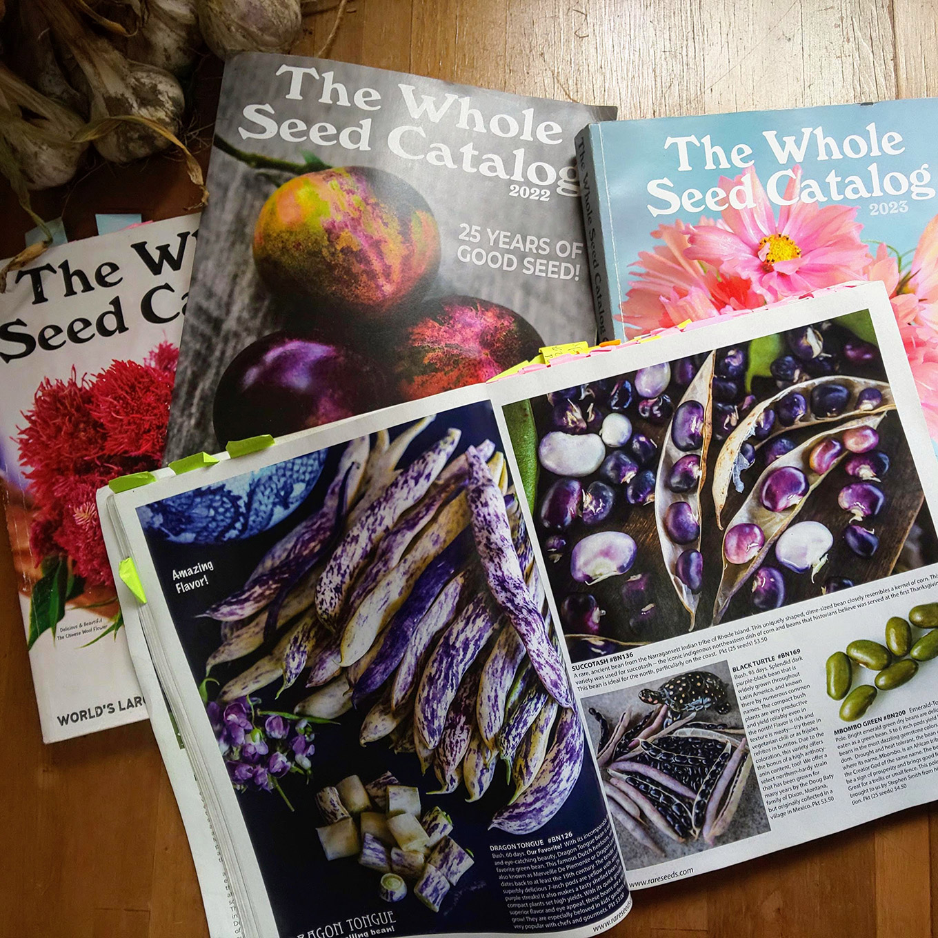 那須真由美さん お気に入りの本