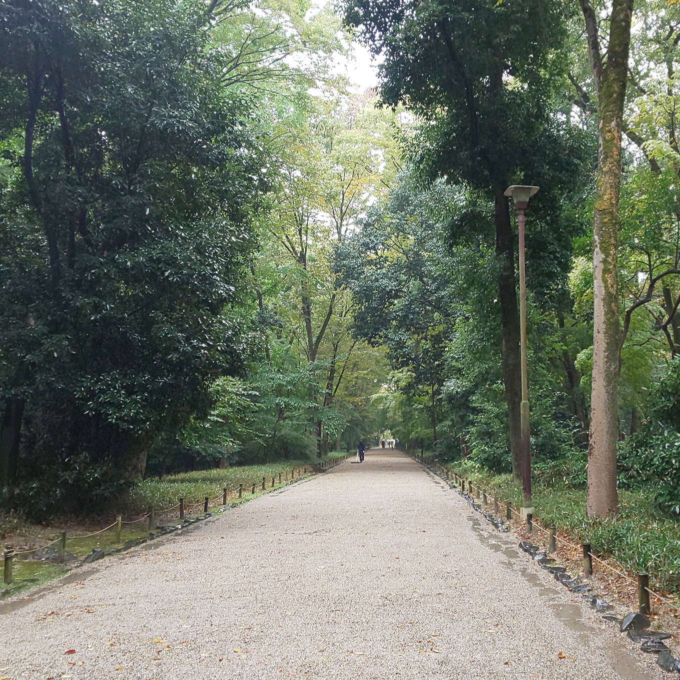 那須真由美さん 下鴨神社の散歩道