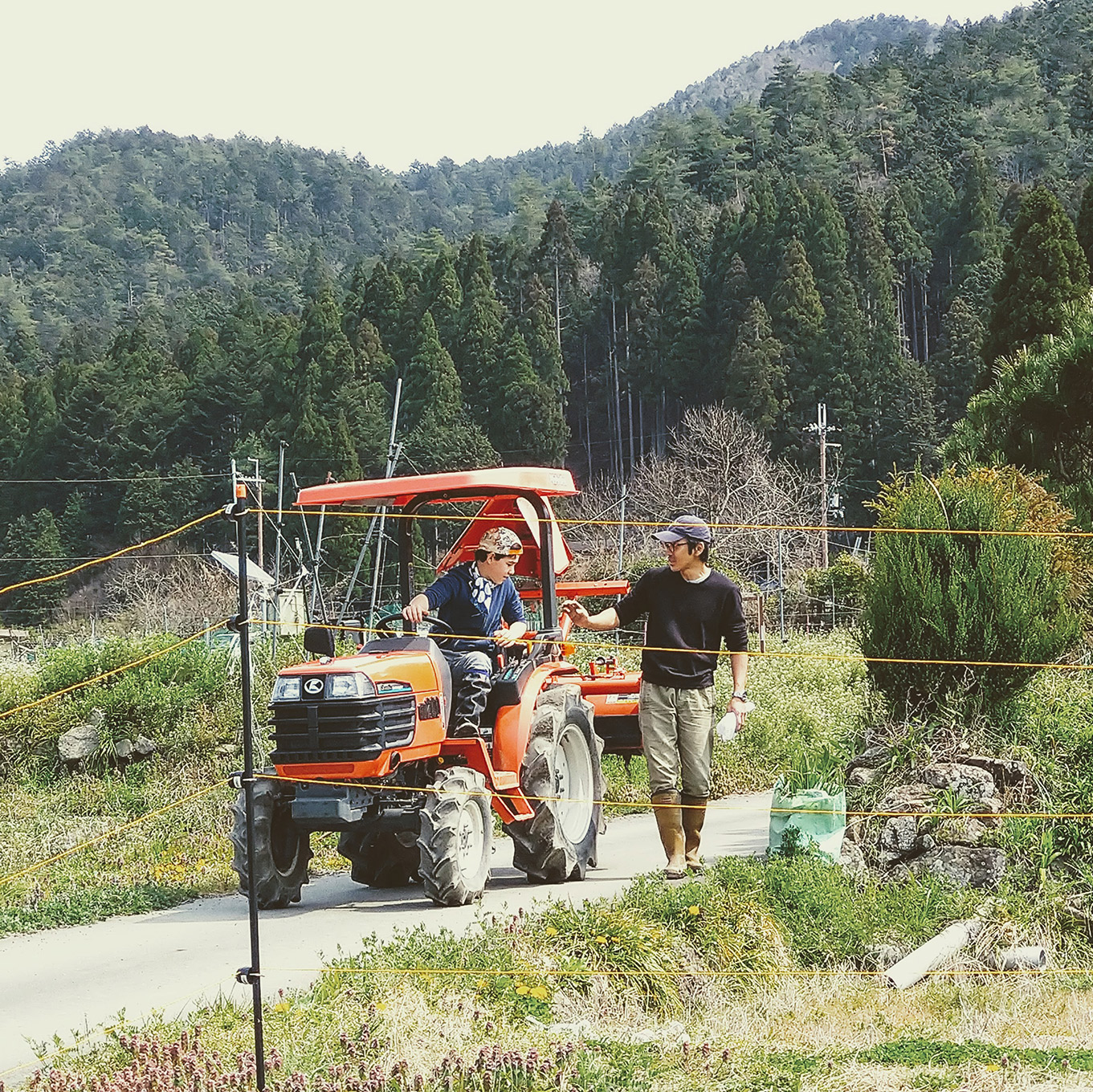 那須真由美さん 農家の手伝い