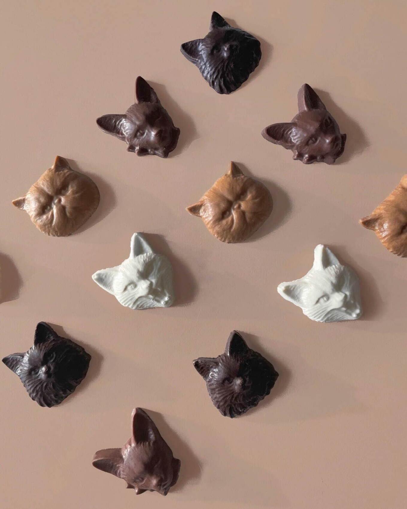 新作チョコ「キャット ボンボンショコラ(Cat bonbon chocolat)」