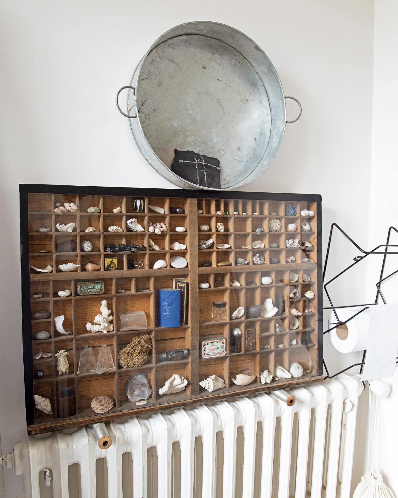 貝殻や落ち葉など、収集したものをディルプレイしているスペース