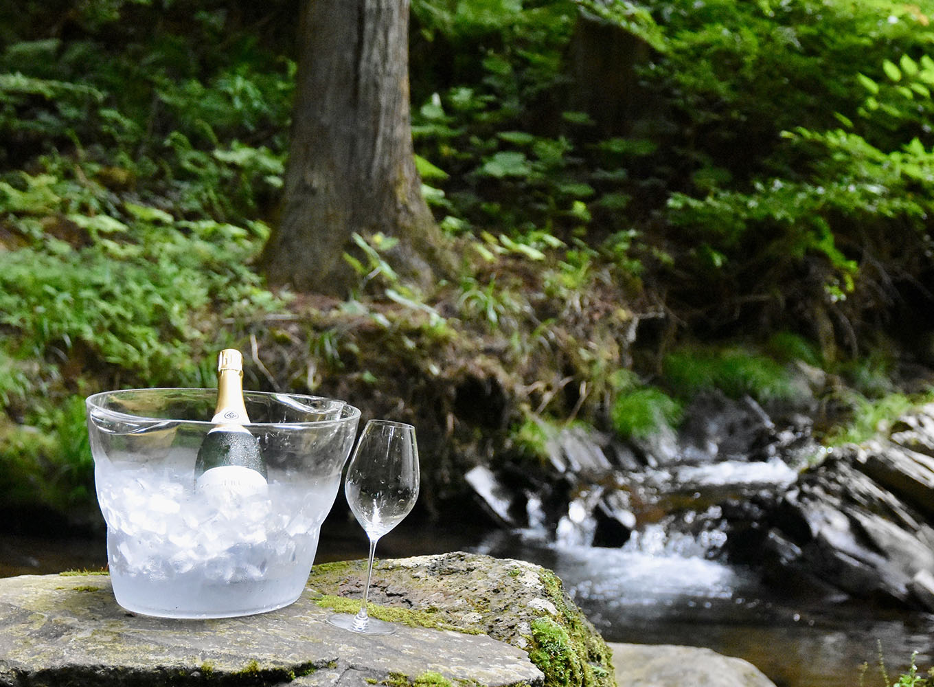 水源地 mizubasho pure