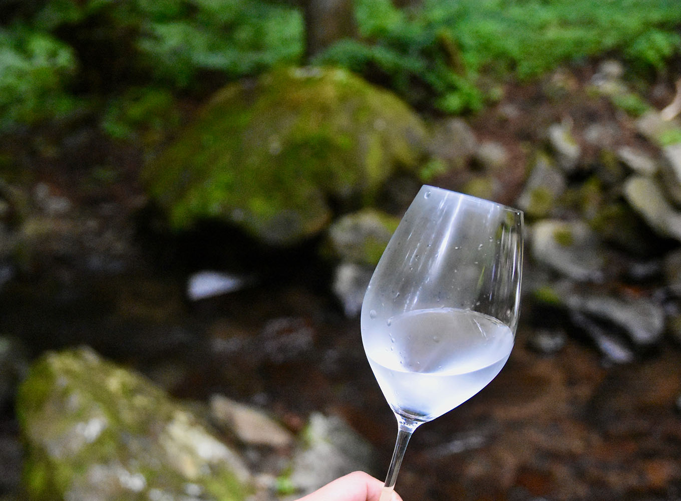 水源地 ワインの試飲