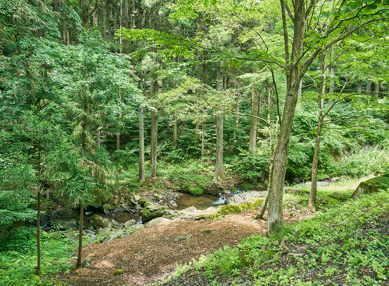 永井酒造の水源地