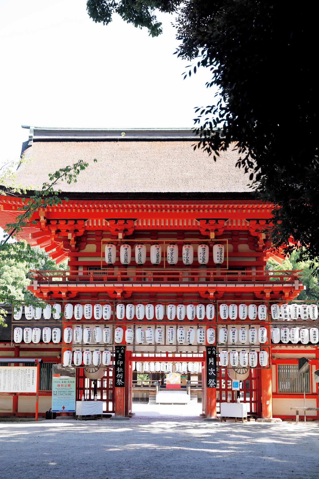 糺の森(下鴨神社)