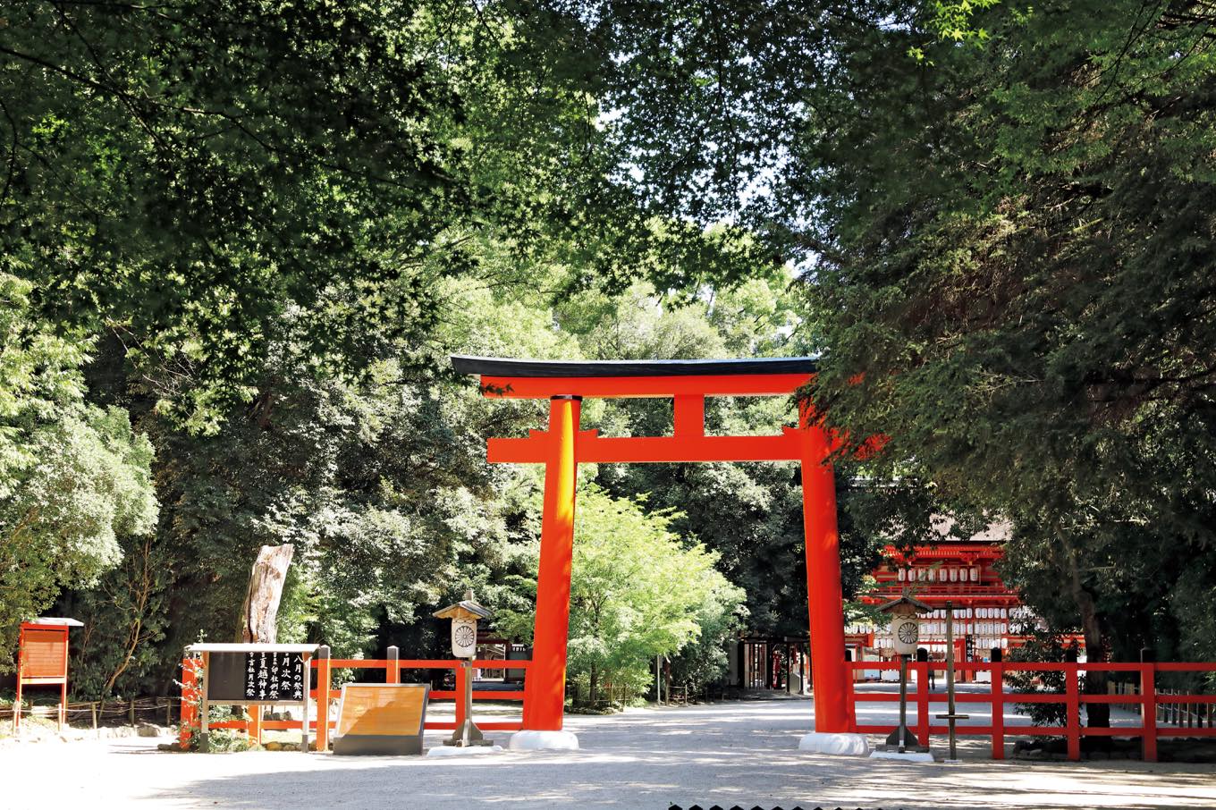 糺の森(下鴨神社)