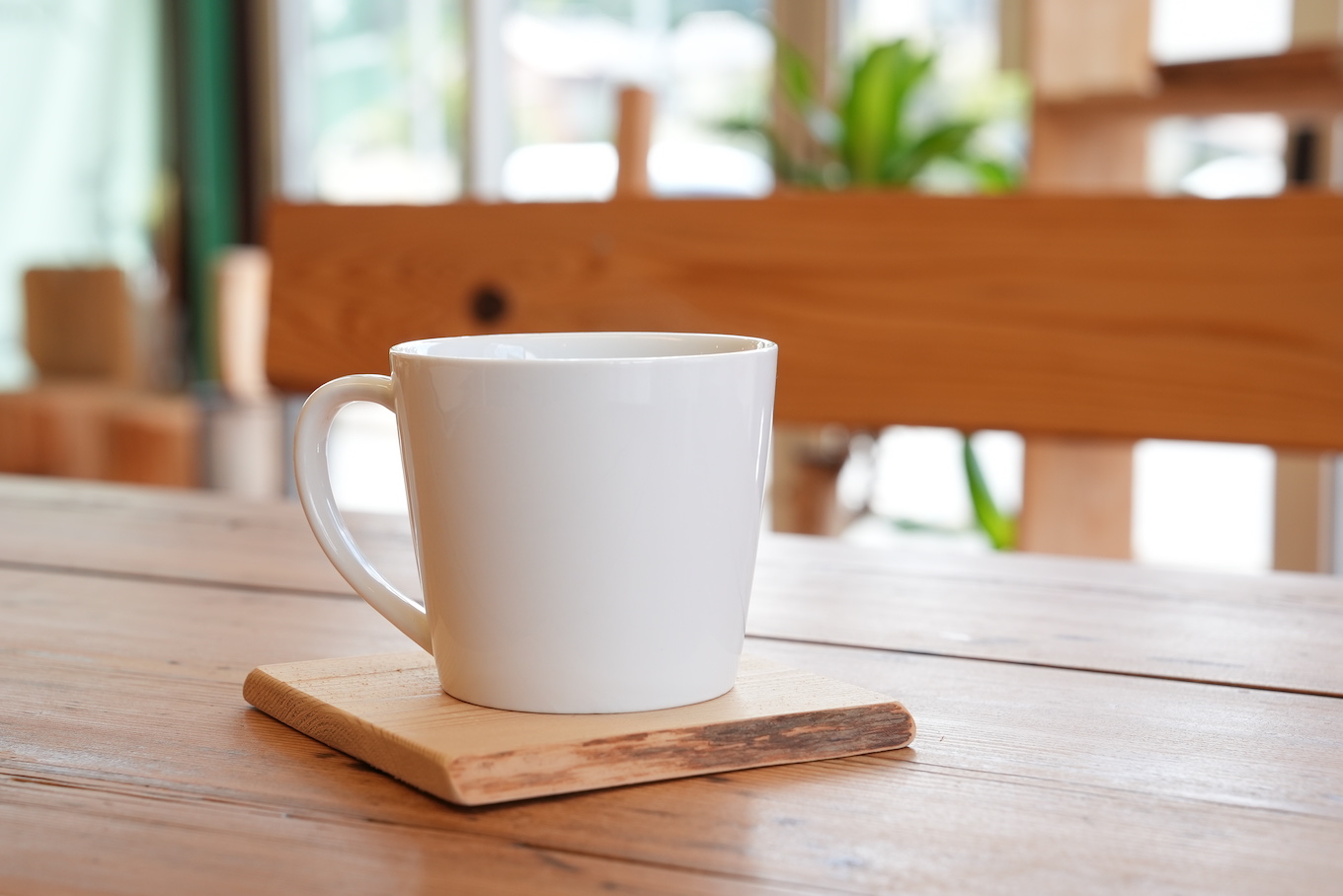 間伐材コースター作り体験