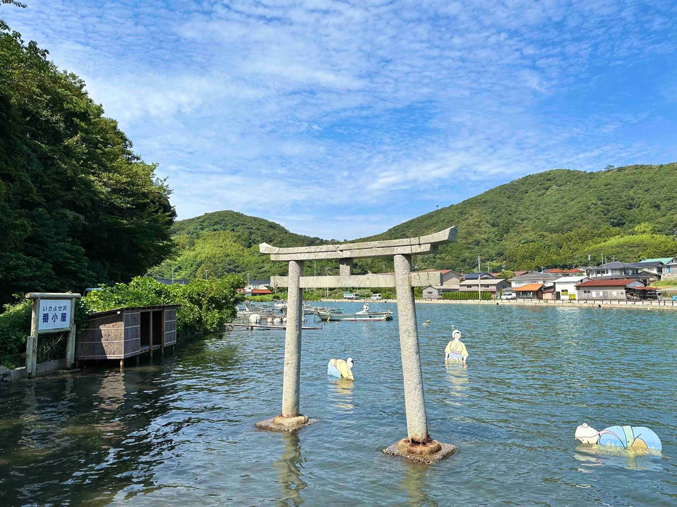 イカが流れ着く「いかよせ浜」