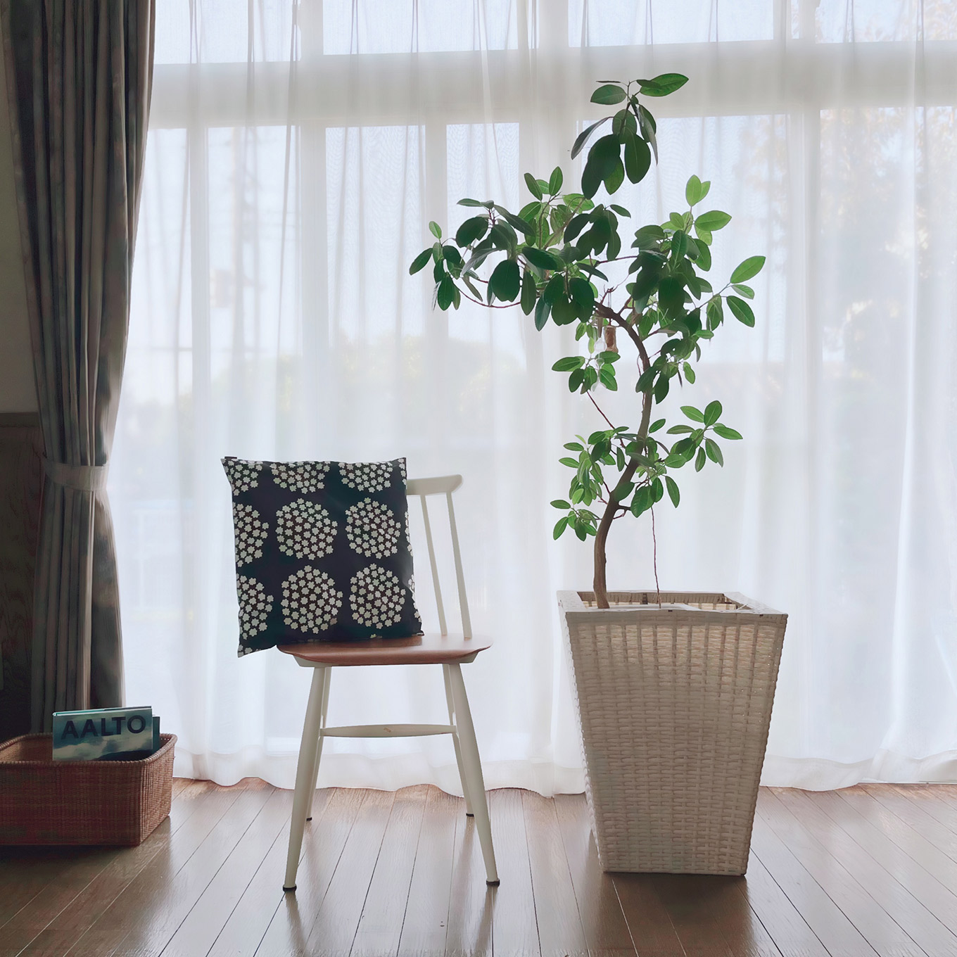 内野水穂さん 北欧の椅子