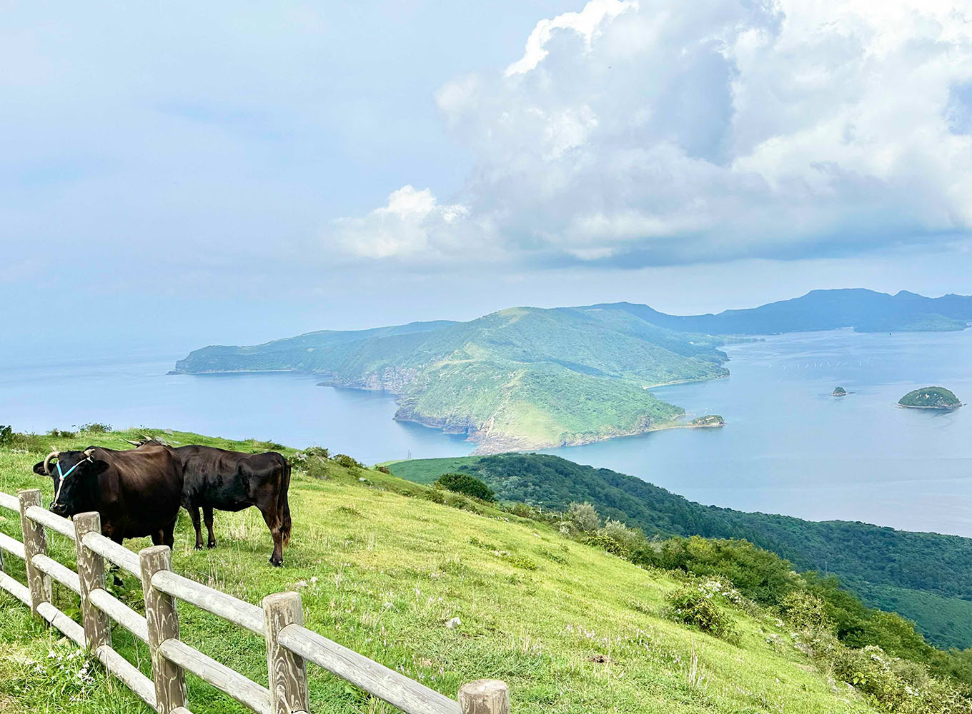 赤ハゲ山