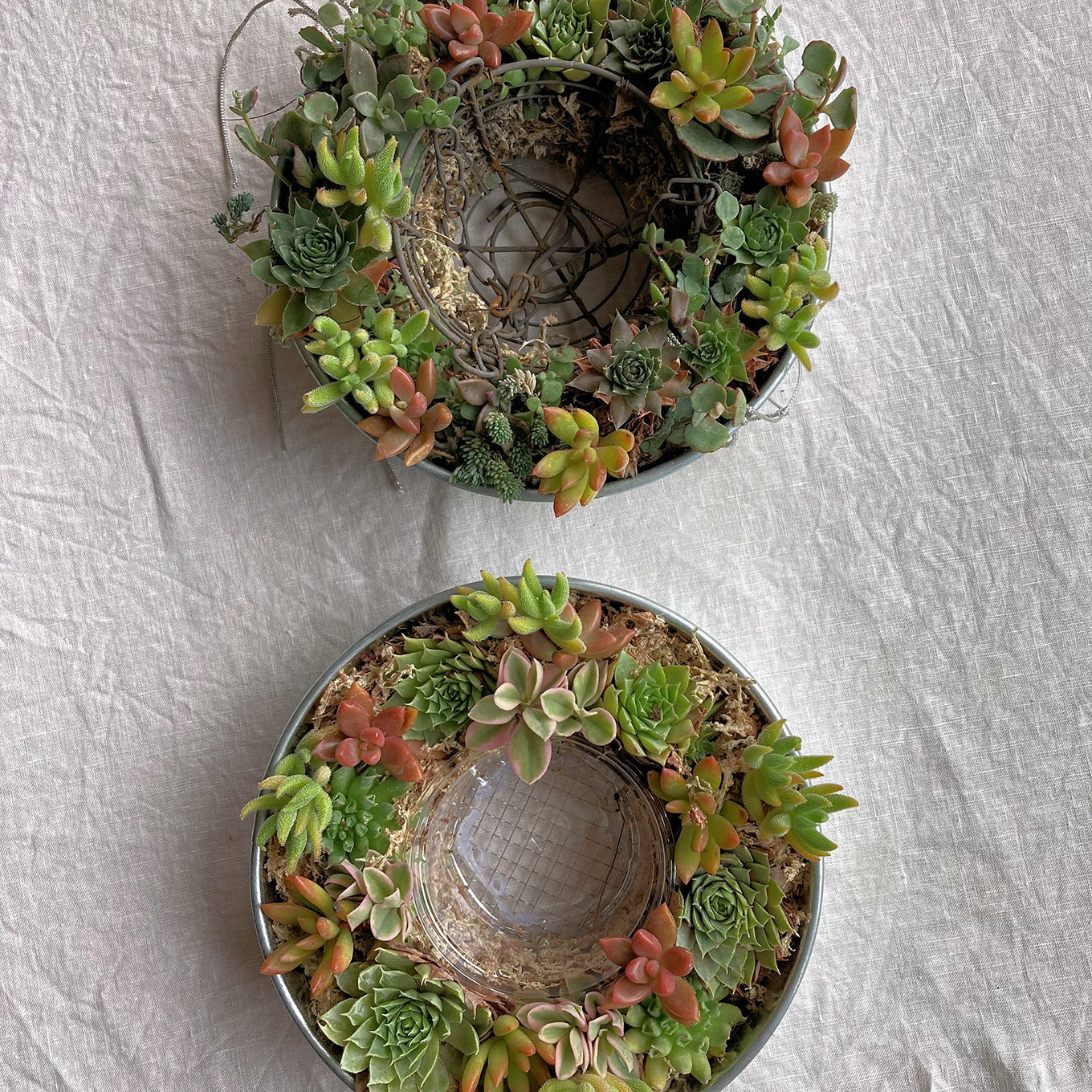 いづいさちこさん 多肉植物のリース