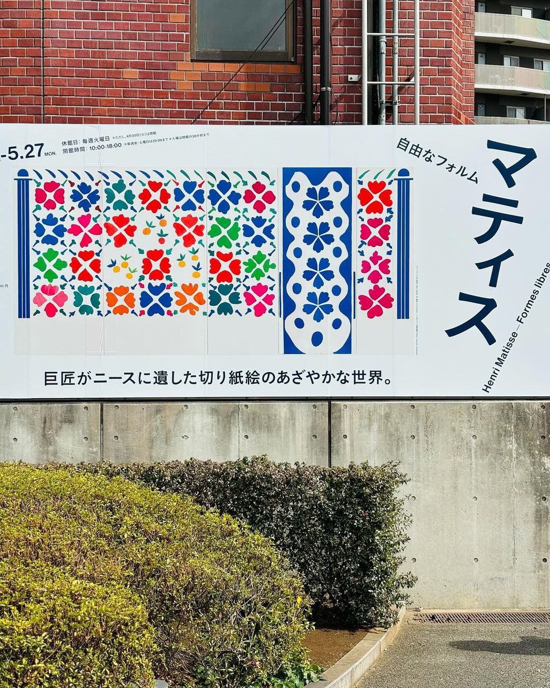 『マティス 自由なフォルム』