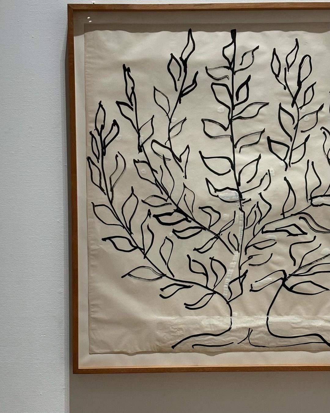 『マティス 自由なフォルム』