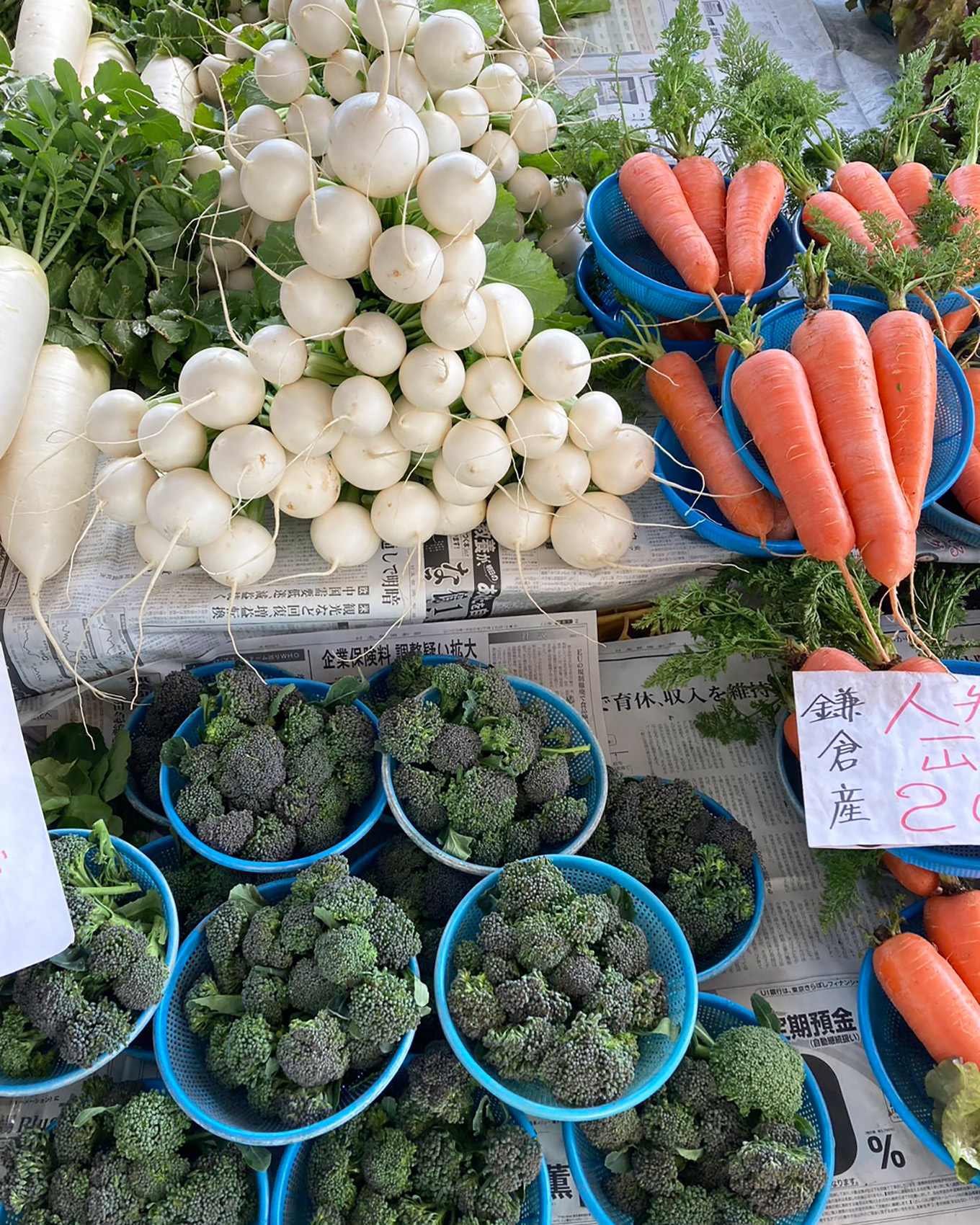 農協連即売所(レンバイ)で購入した鎌倉野菜