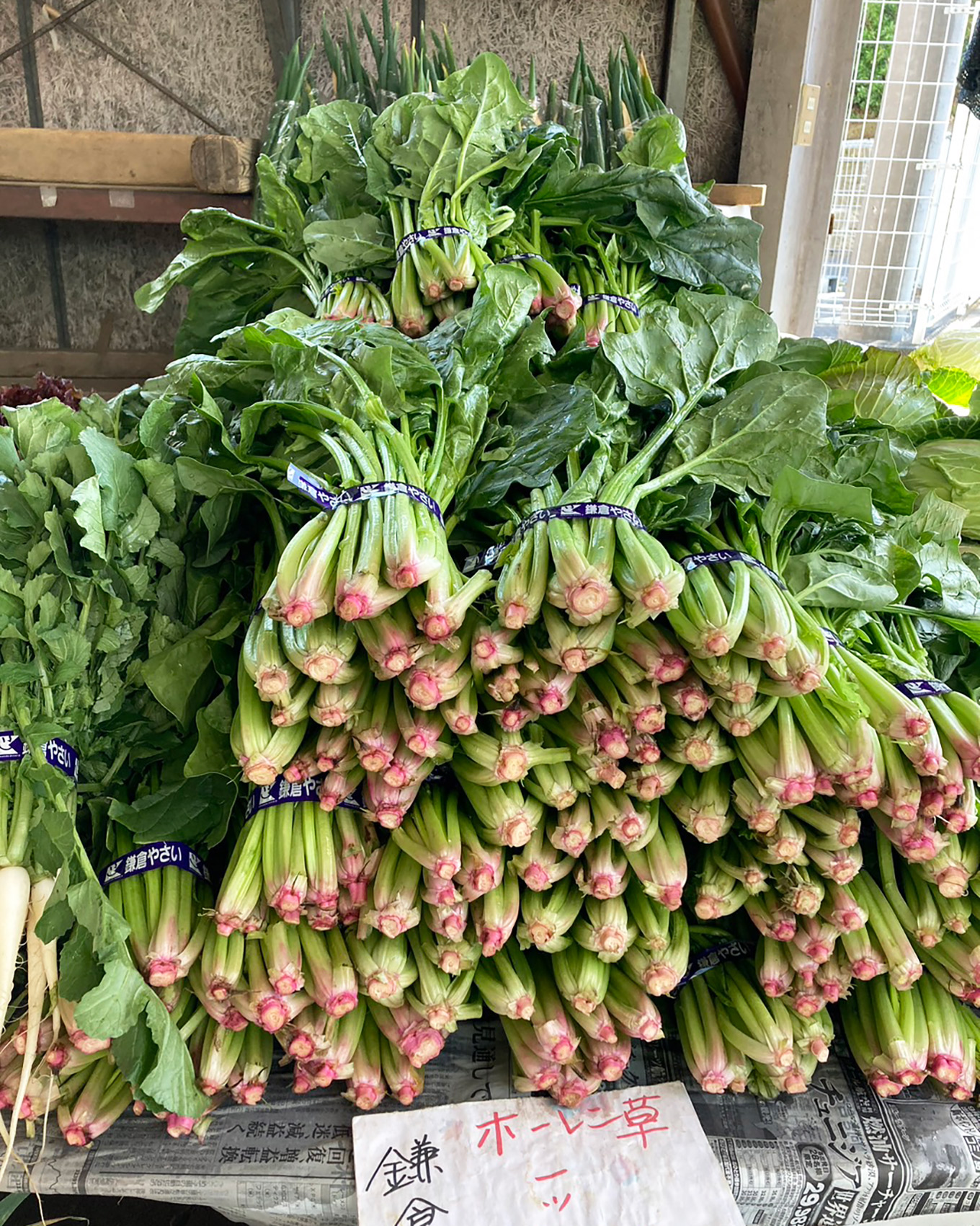 農協連即売所(レンバイ)で購入した鎌倉野菜