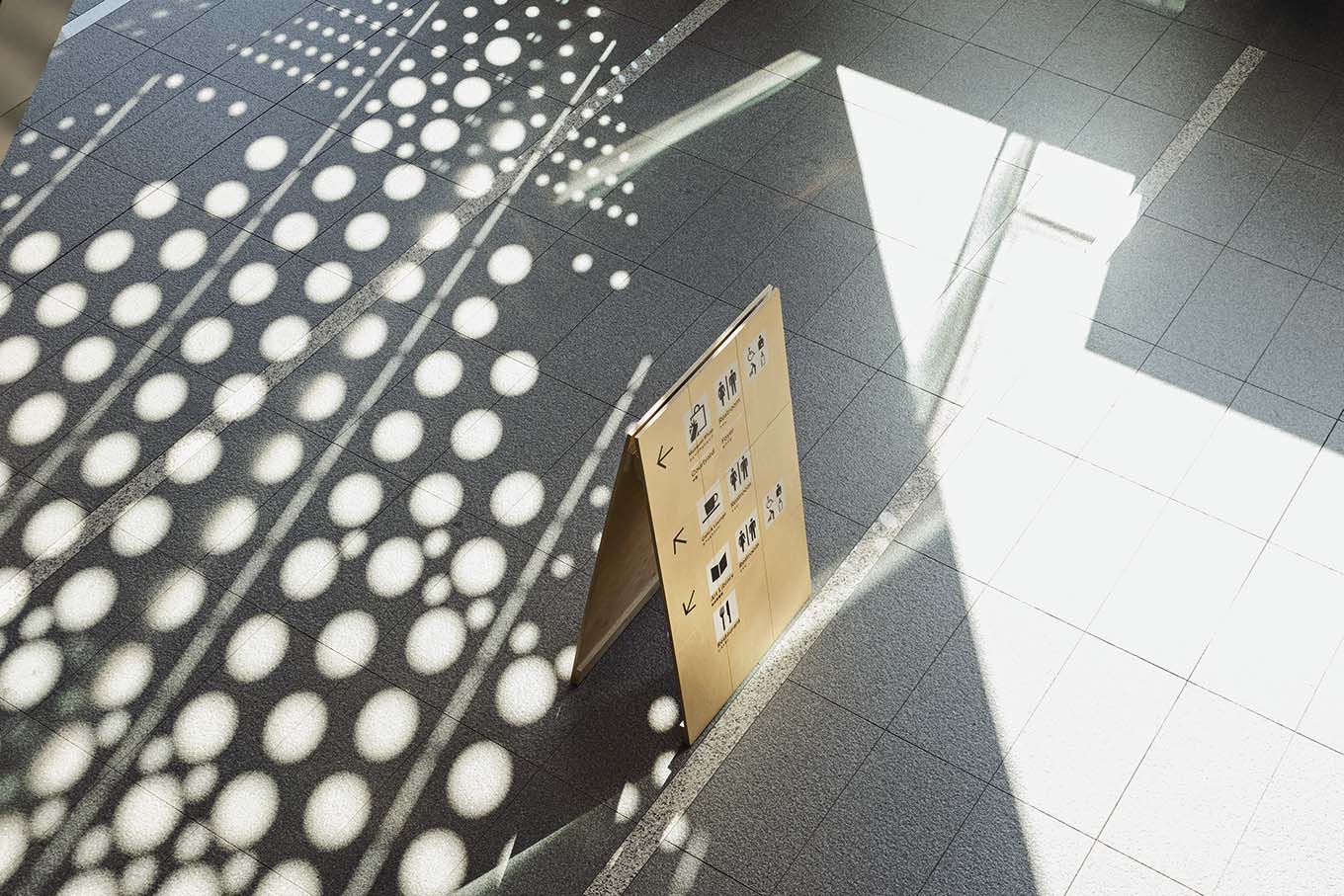 東京都現代美術館