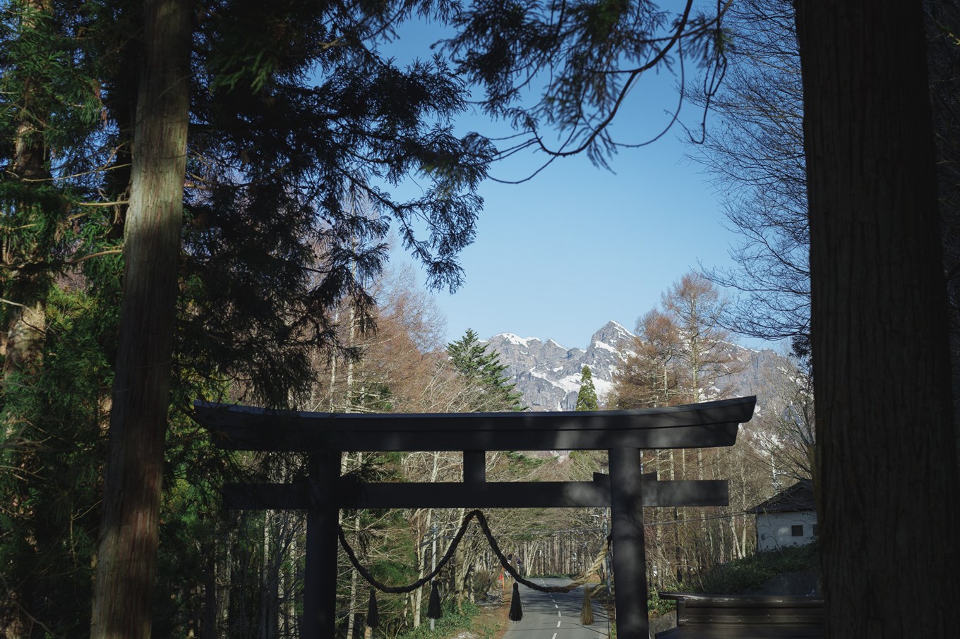 戸隠神社奥社の鳥居