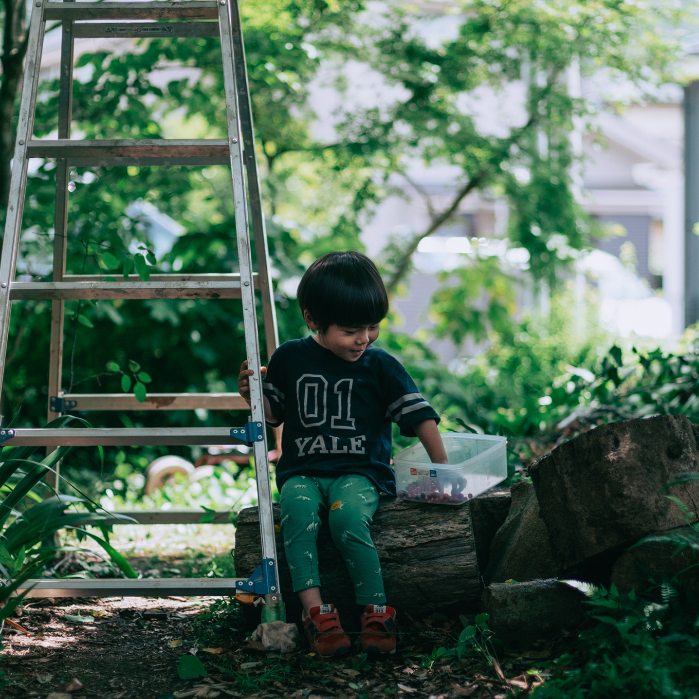 ササキサキコさん 庭にいる息子さん