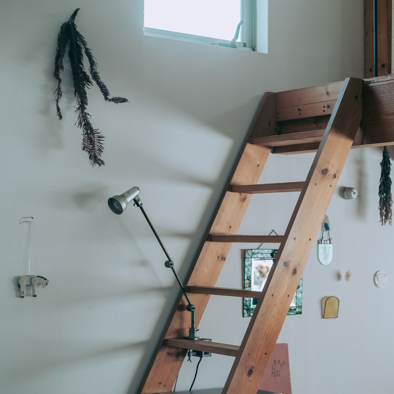 ササキサキコさん ロフトの梯子