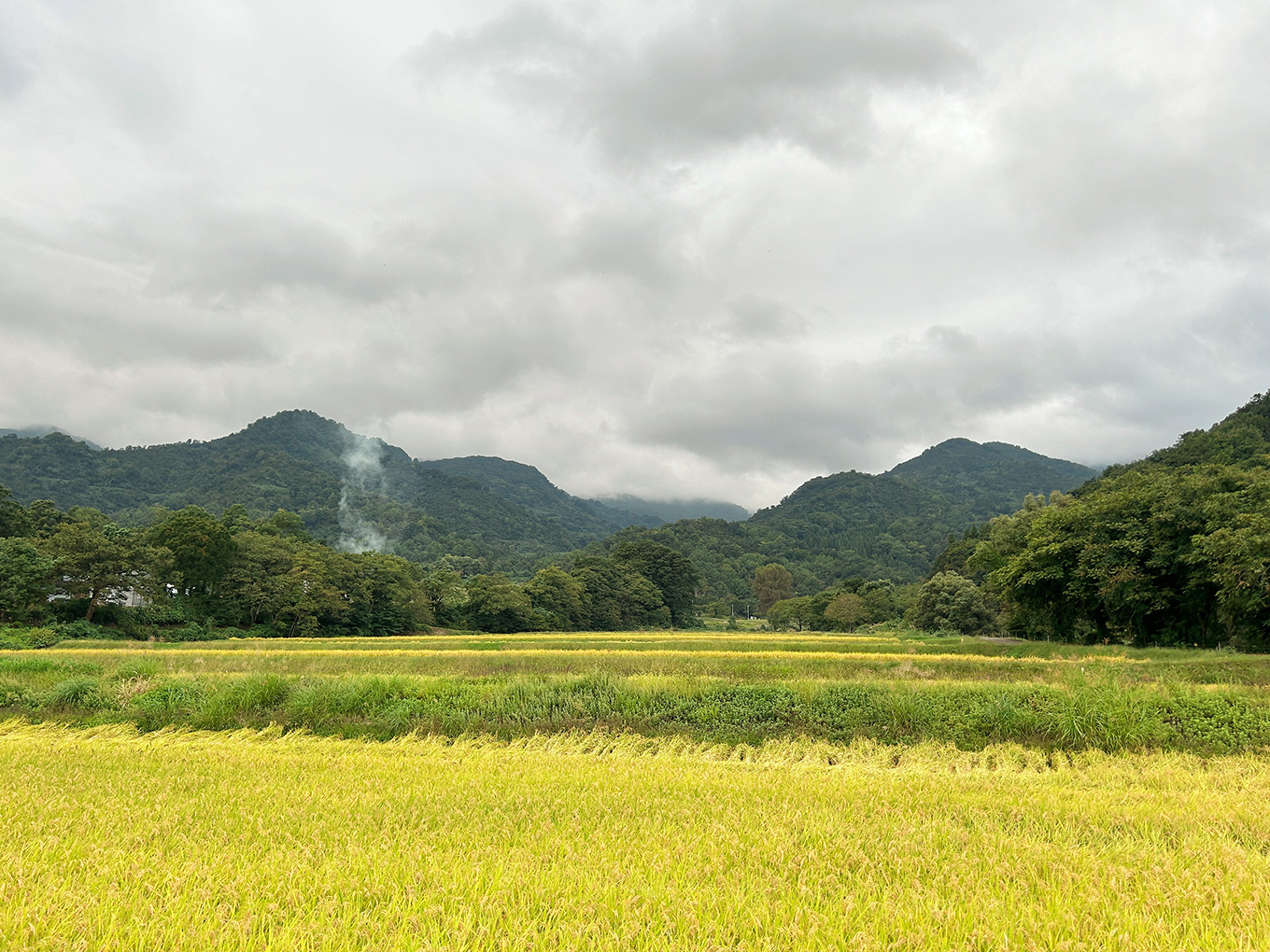 新潟県妙高市の古民家宿『MAHORA西野谷』