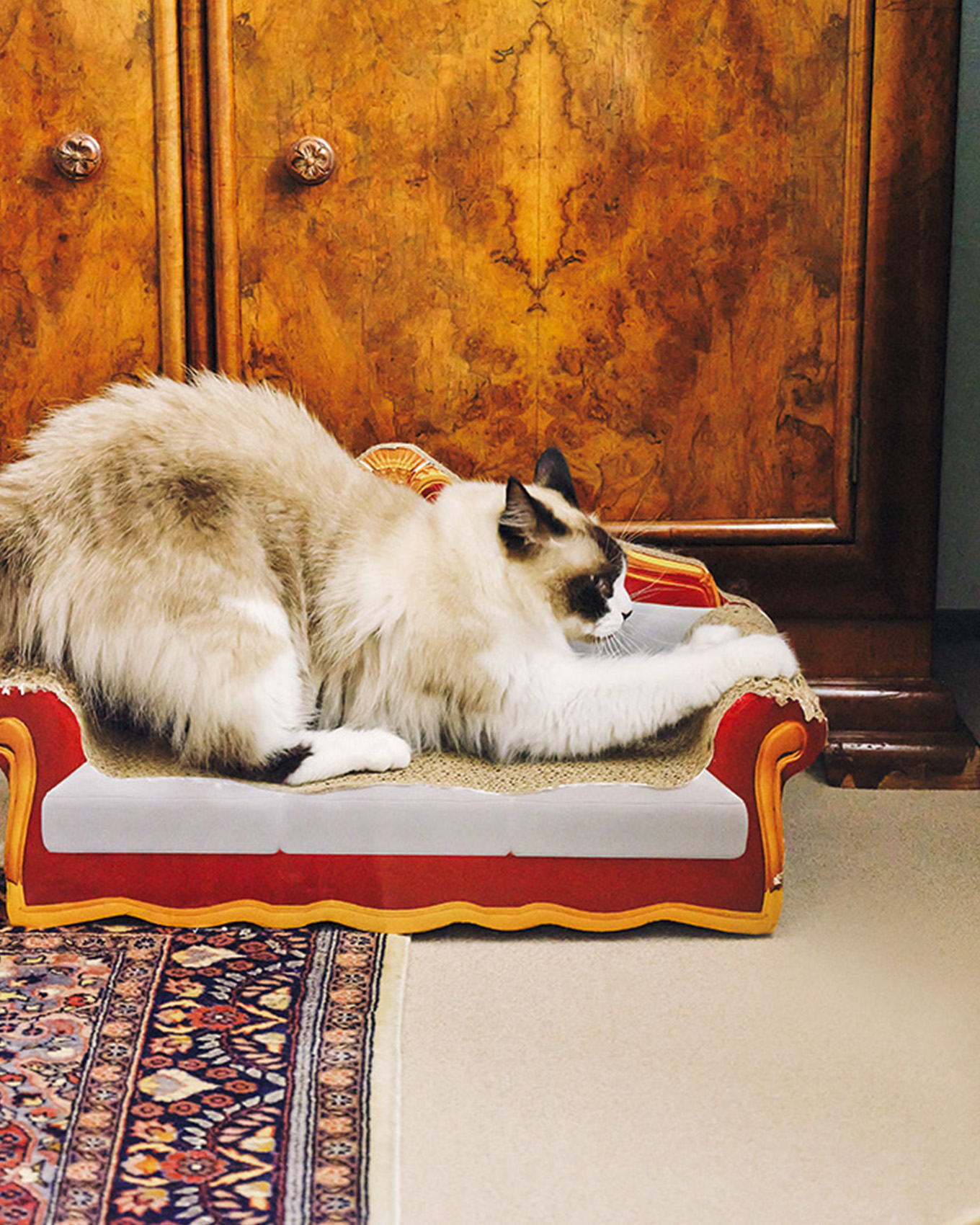 買って正解 犬猫グッズ