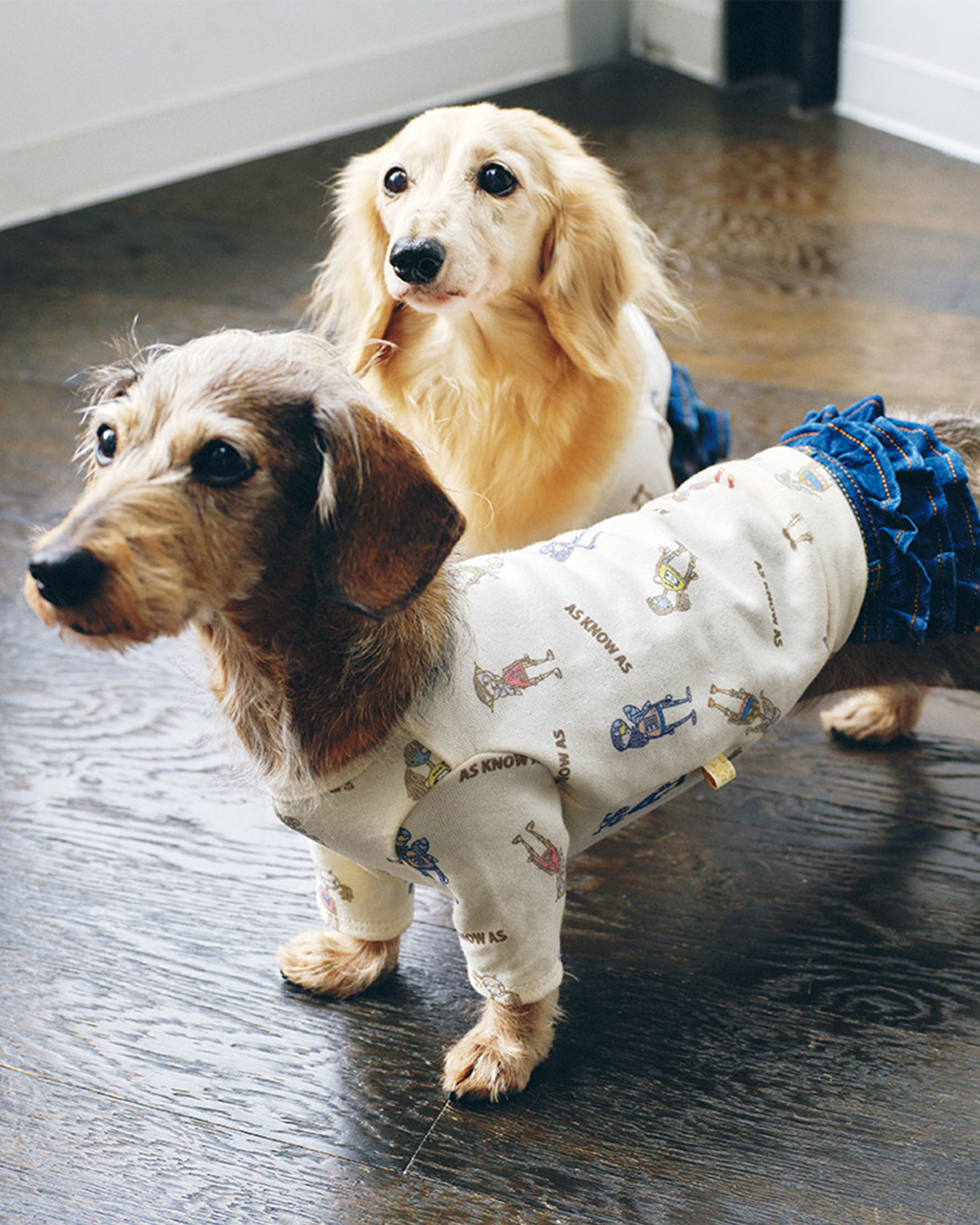 買って正解 犬猫グッズ アイキャッチ用