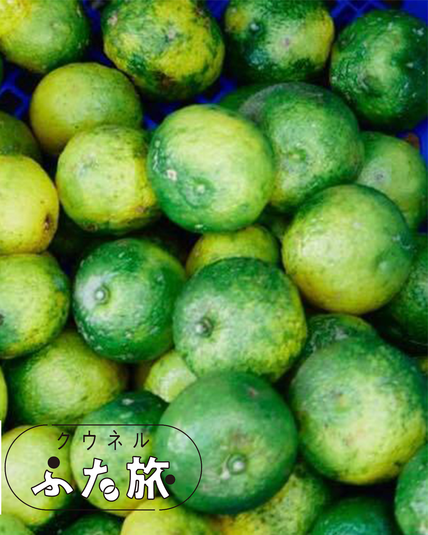 ふたたび高知のイメージ