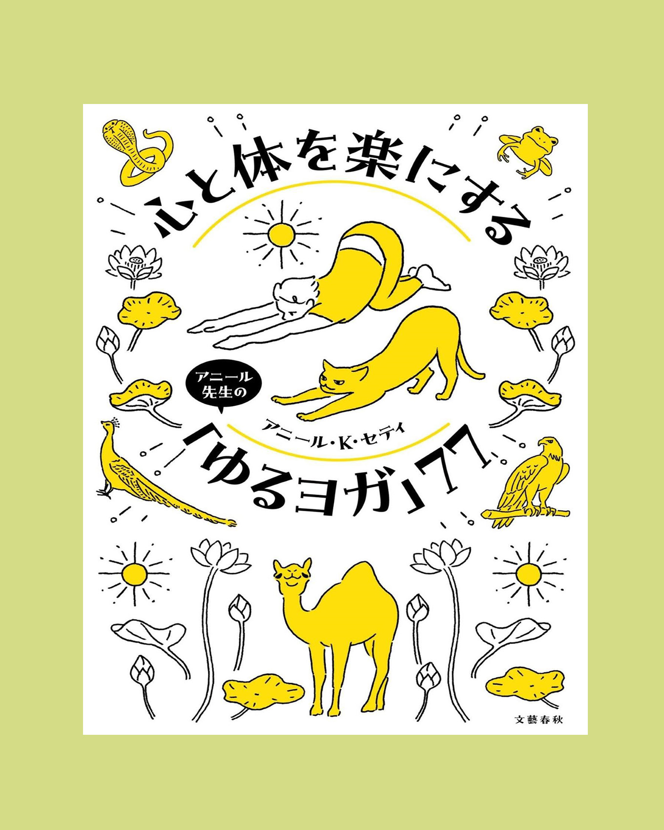 アニール先生のヨガ本表紙