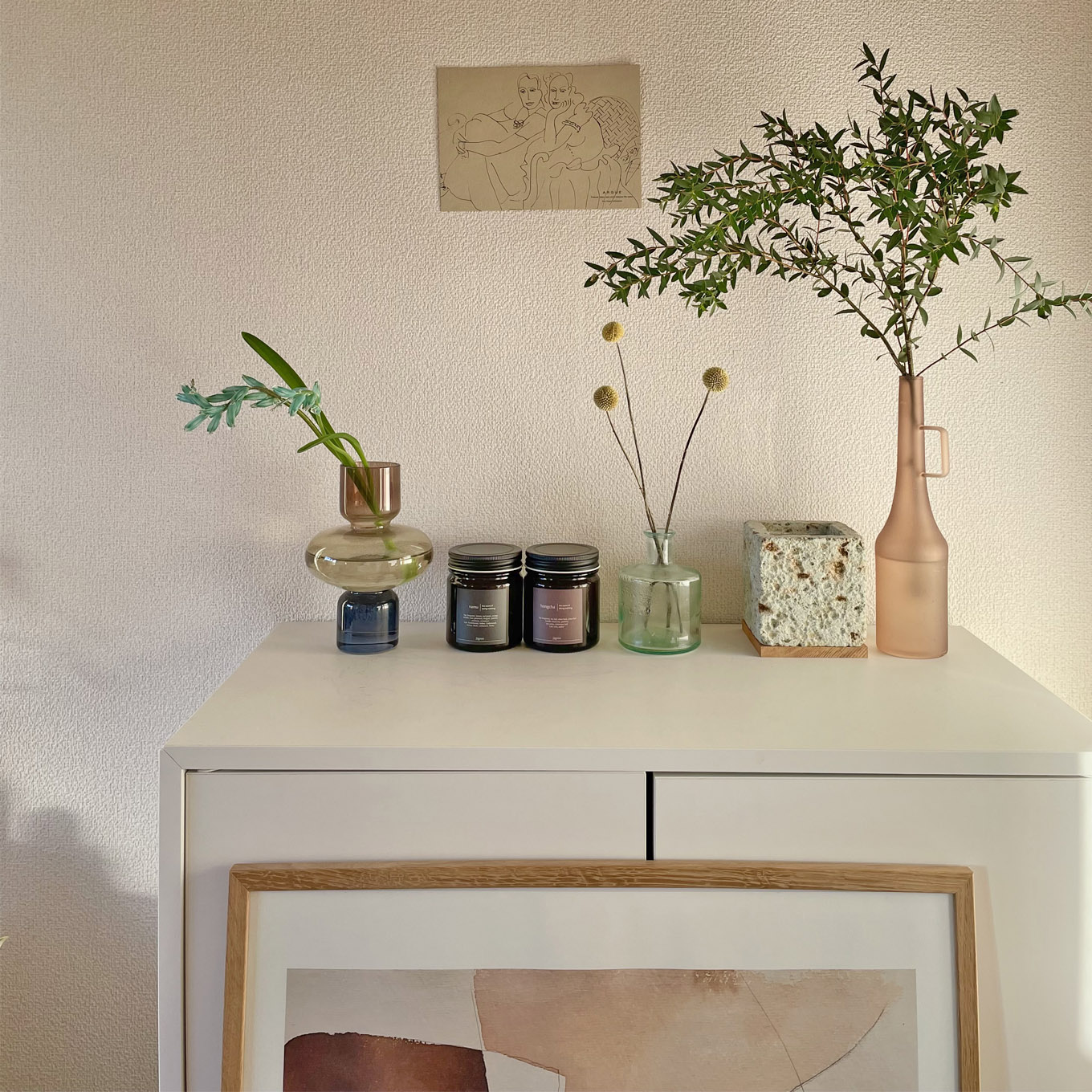 カナリアさんの部屋の植物