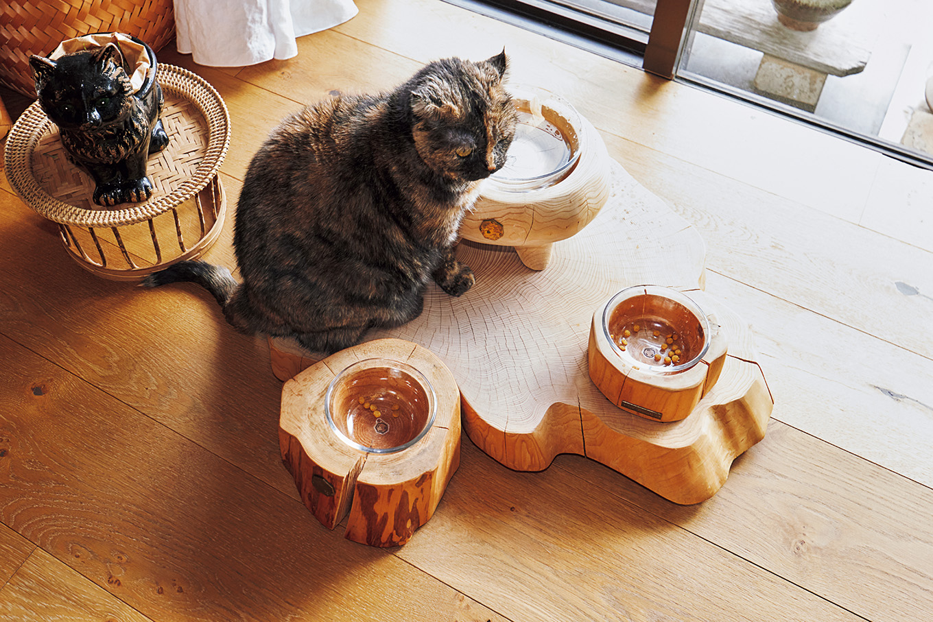 岡部美穂さん自宅 ペット用テーブルと愛猫