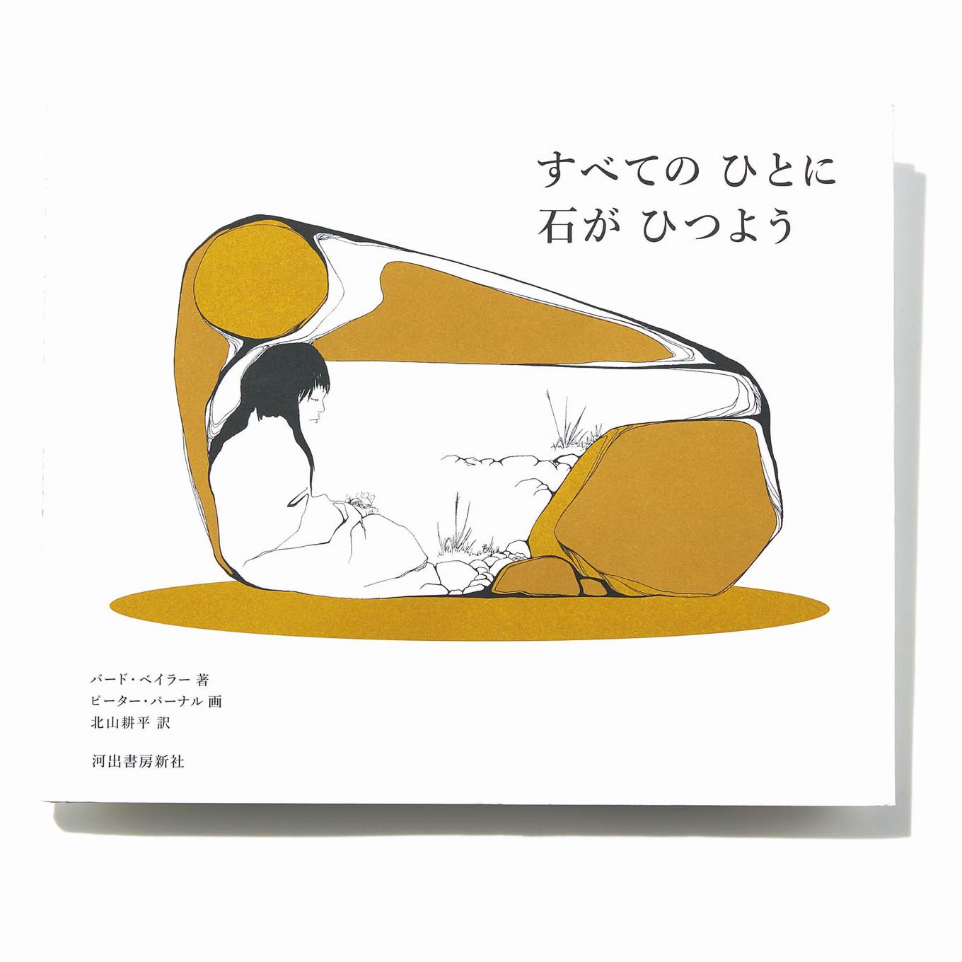 すべてのひとに石がひつよう 絵本表紙