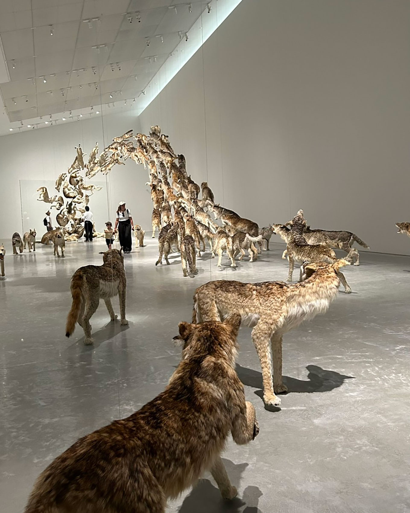 直島新美術館の蔡國強「ヘッドオン」