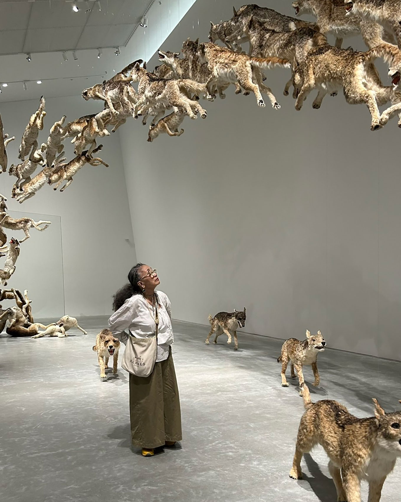 直島新美術館の蔡國強「ヘッドオン」