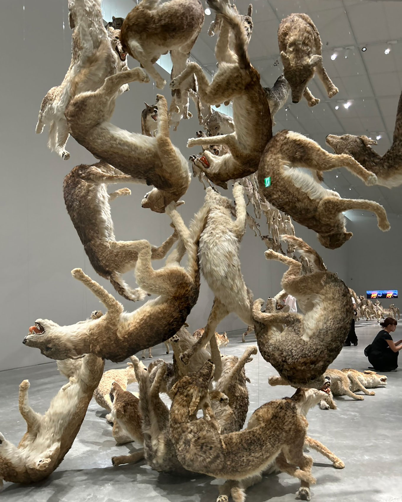 直島新美術館の蔡國強「ヘッドオン」