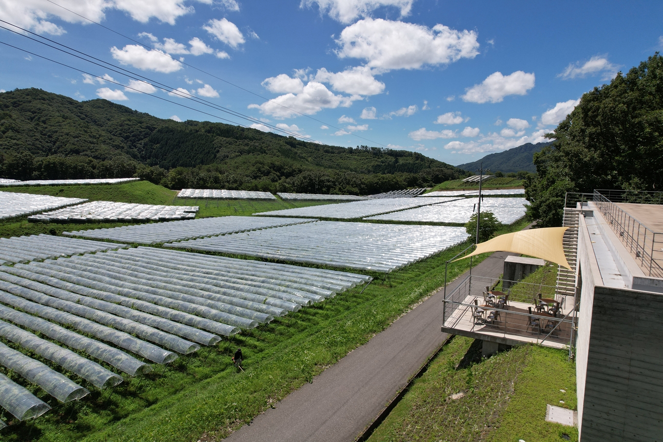 岡山 domaine tetta
