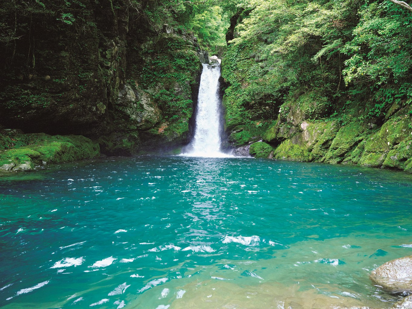 高知仁淀川のにこ淵