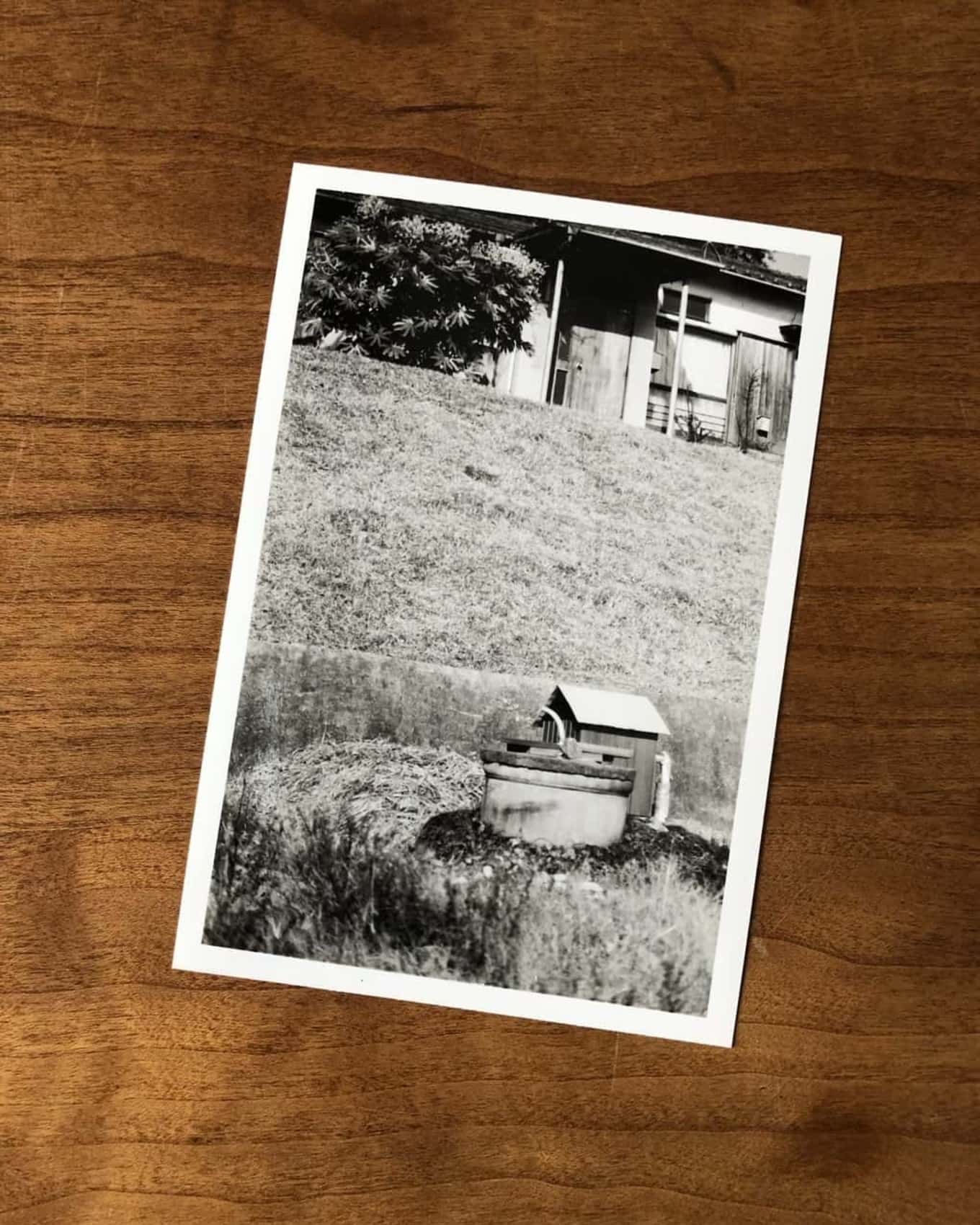 青木美詠子さん母の思い出