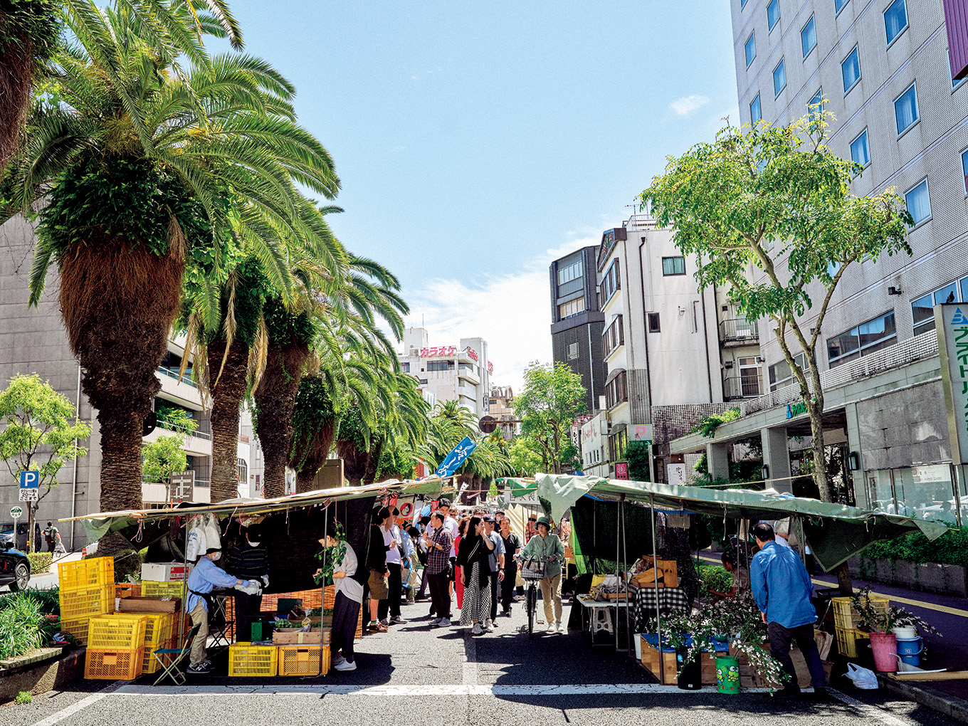 高知名物「日曜市」