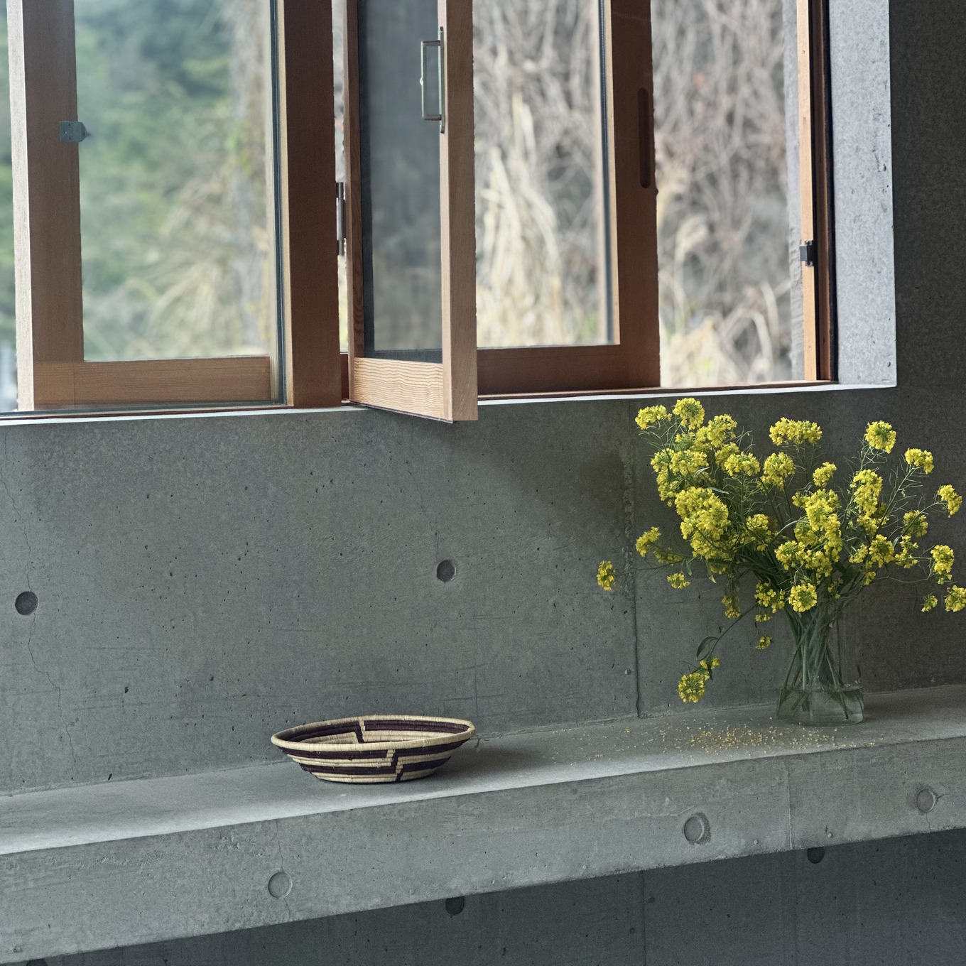 「住まいと暮らし」関れいみさん