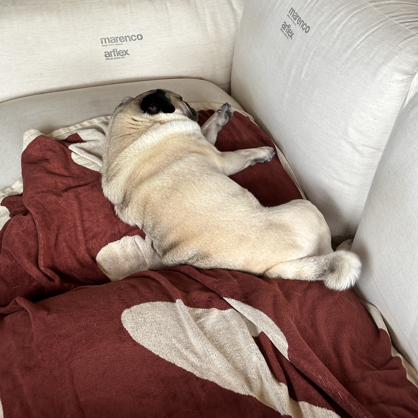 「住まいと暮らし」関れいみさん